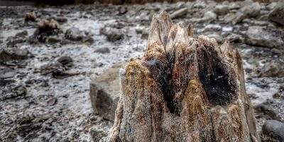 Türkiye'de Meslek Liseleri ve Mesleki Sınavlar