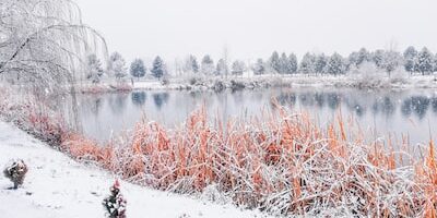 Uzaktan Eğitimle Yüksek Lisans Programlarında Hangi Bölümler Var?