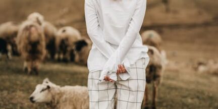 Memur Olmak İçin Gerekli Şartlar Memur Olmak İçin Gerekli Şartlar