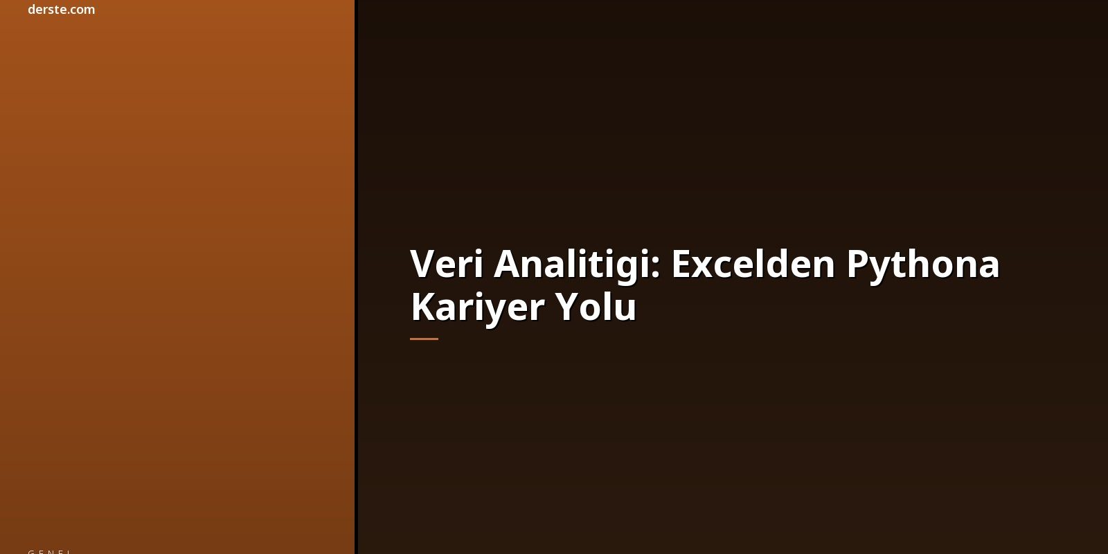 veri-analitigi-excelden-pythona-1