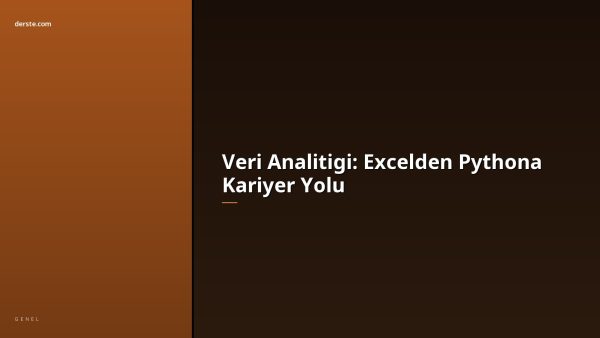veri-analitigi-excelden-pythona-1